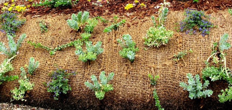 Erosion Prevention Techniques